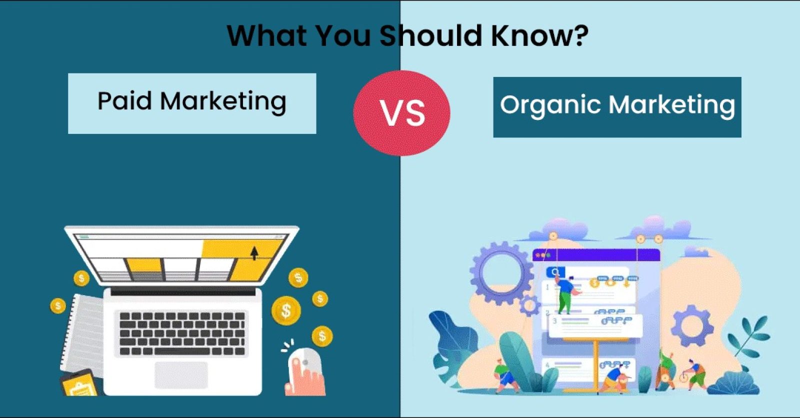 organic-marketing-vs-paid-marketing